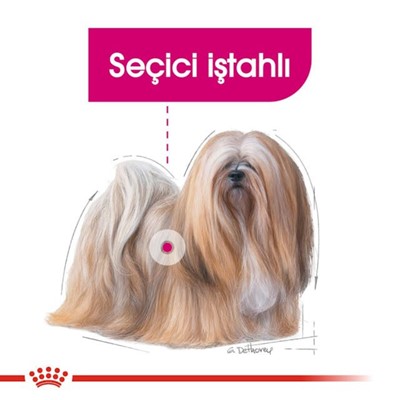 Royal Canin Ccn Mini Exigent Yetişkin Köpek Maması, 3 Kg