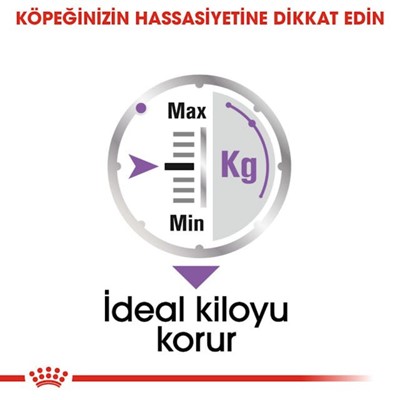 Royal Canin Sterilised Loaf Kısırlaştırılmış Köpek Maması 85 gr