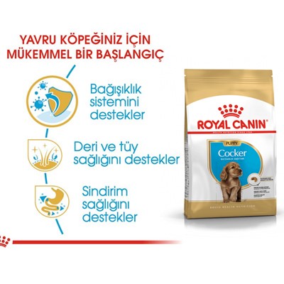 Royal Canin Cocker Yavru Köpek Maması 3 Kg