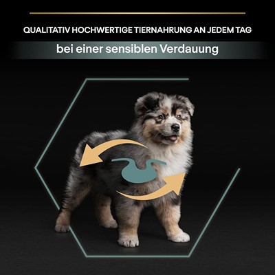 Pro Plan Kuzu Etli Orta Irk Yavru Köpek Maması 3 kg