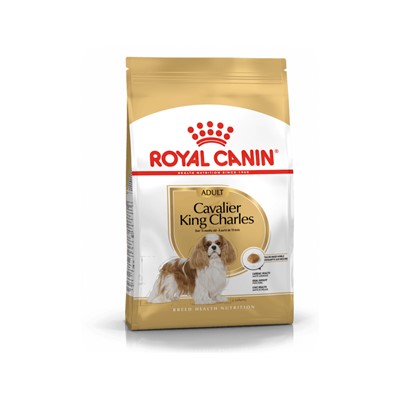 royal canin cavalier king charles adult köpek maması 3 kg, royal canin cavalier king ,royal canin,kury köpek maması,yetişkin köpek maması