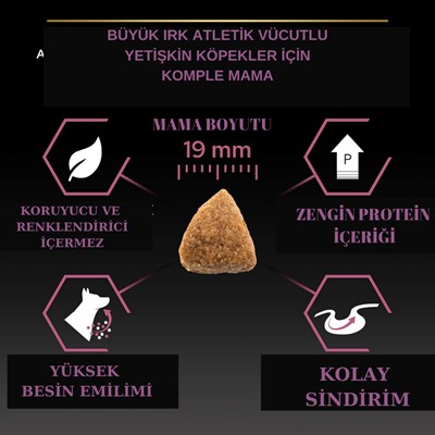 Prp  Plan Large Athletic Adult Somonlu Köpek Maması 14 kg