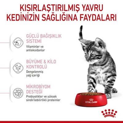 Royal Canin Sterilised Kitten Kısırlaştırılmış Yavru Kedi Maması 2 Kg