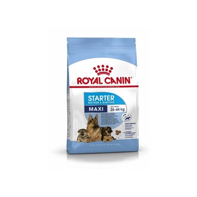 royal canin maxi starter büyük ırk anne ve yavru köpek maması 15 kg, royal canin,mankypetshop,kuru  köpek maması,ane ve yavru için köpek maması,maxi starter mama,büyük ırk yavru mama