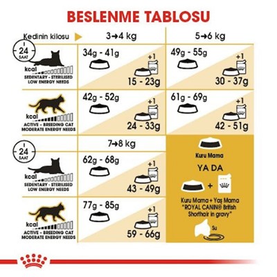 Royal Canin British Short Hair Yetişkin Kedi Maması, 4 Kg